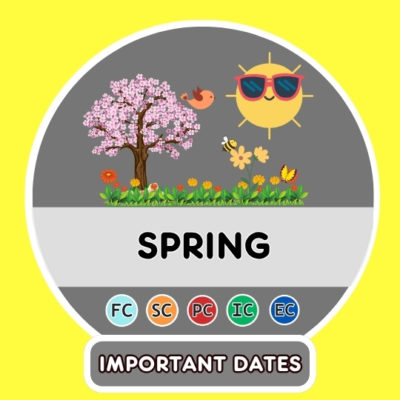 Spring Test