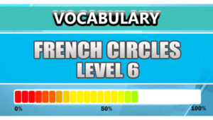 French Vocabulary Level 6